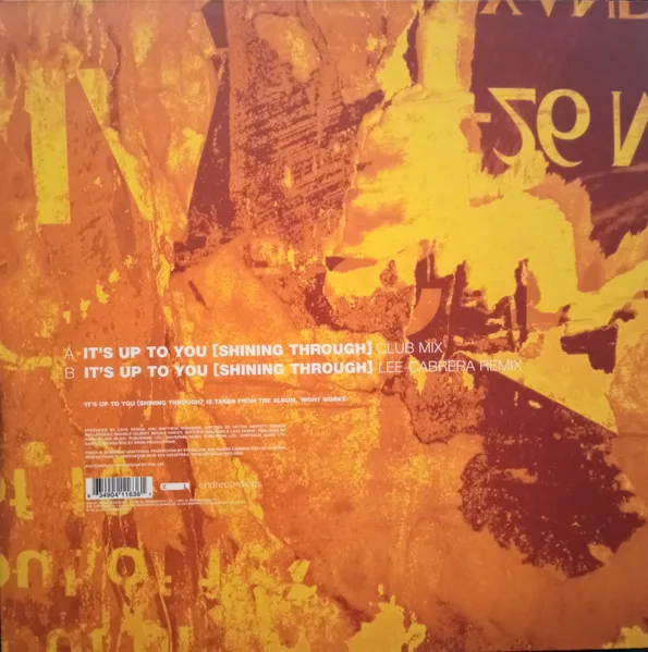 Album cover for It's Up To You [Shining Through] by Layo & Bushwacka!