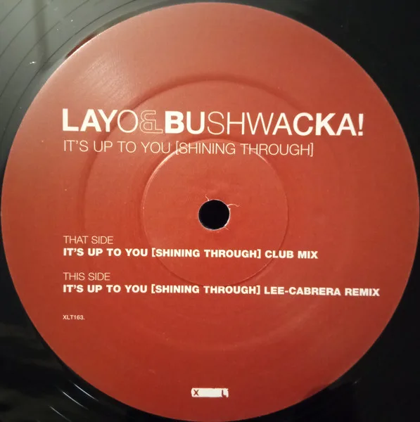Album cover for It's Up To You [Shining Through] by Layo & Bushwacka!