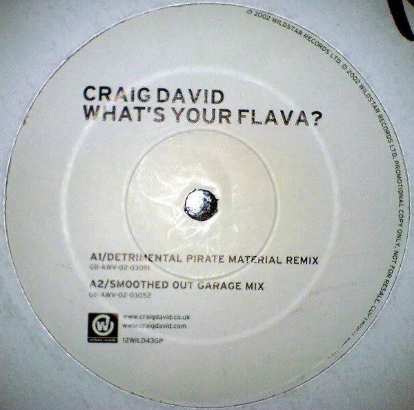 Album cover for What's Your Flava? by Craig David