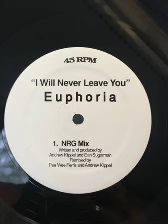 I Will Never Leave You