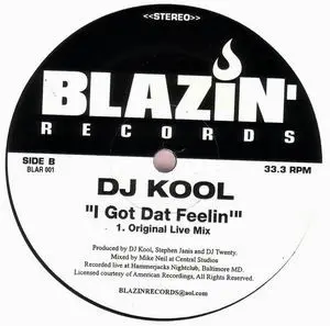 DJ Kool - Let Me Clear My Throat / I Got Dat Feelin', Hip Hop, 1996 - Blazin' Records, US, Vinyl 1x 12", 33 ⅓ RPM, Stereo