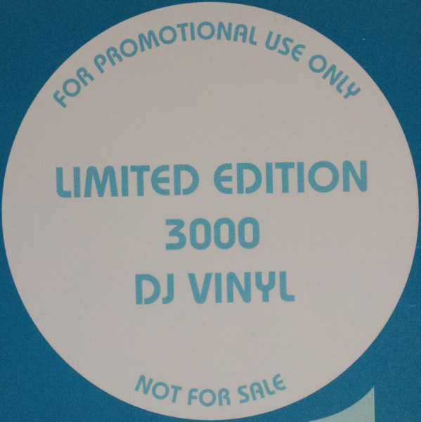 Bootie Brown - Have You Eva? / Divine Deception, Hip Hop, 2002 - Props Recordings, US, Vinyl 1x 12", Limited Edition, Promo M