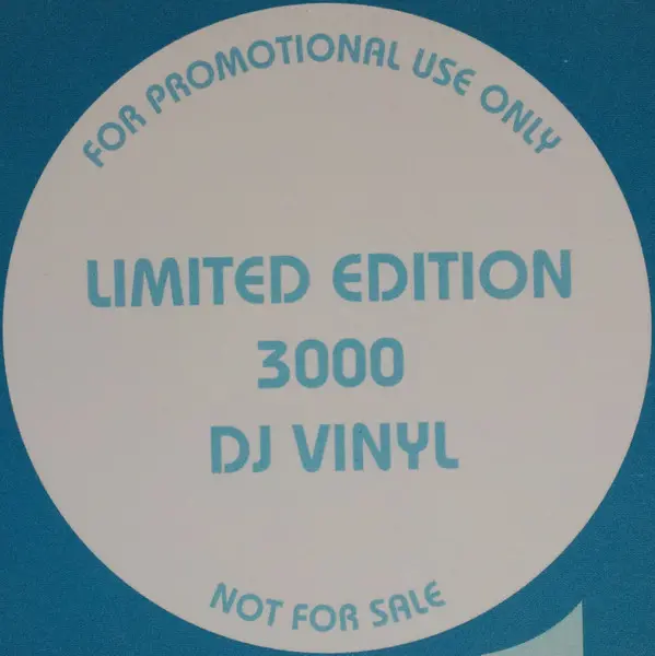 Bootie Brown - Have You Eva? / Divine Deception, Hip Hop, 2002 - Props Recordings, US, Vinyl 1x 12", Limited Edition, Promo M