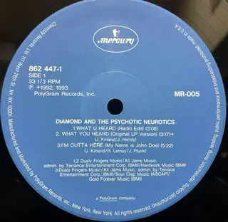 Diamond D And Psychotic Neurotics, The - What U Heard, Hip Hop, Lexington, Mercury, Japan, Vinyl 1x 12", Single