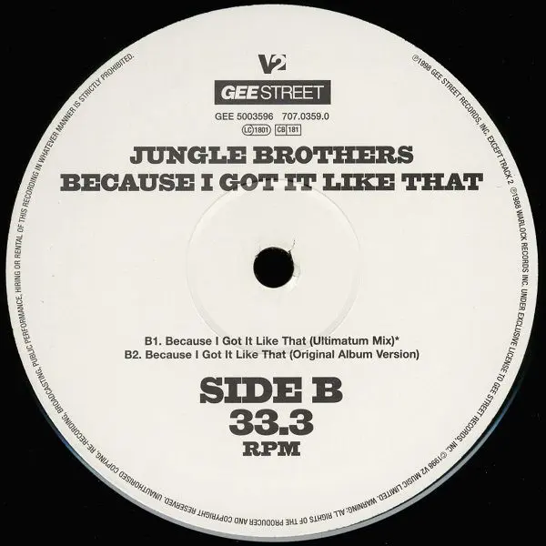 Jungle Brothers - Because I Got It Like That, Electronic, Hip Hop, Drum n Bass, Hip Hop, 1998 - Gee Street, V2, Europe, Vinyl