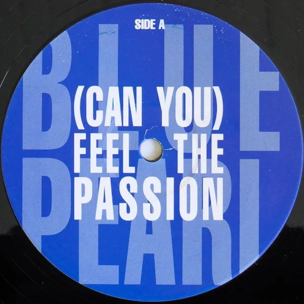 Album cover for (Can You) Feel The Passion by Blue Pearl