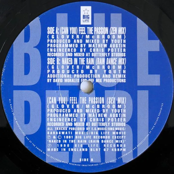 Album cover for (Can You) Feel The Passion by Blue Pearl