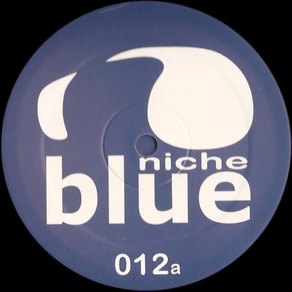 Spiritchaser - As We Continue / Ever Increasing Circles, Electronic, Progressive House, Tech House, 2003 - Niche Blue, UK, Vi