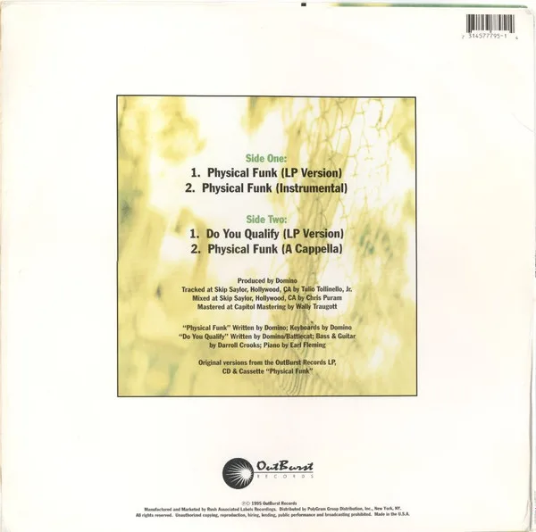 Album cover for Physical Funk by Domino