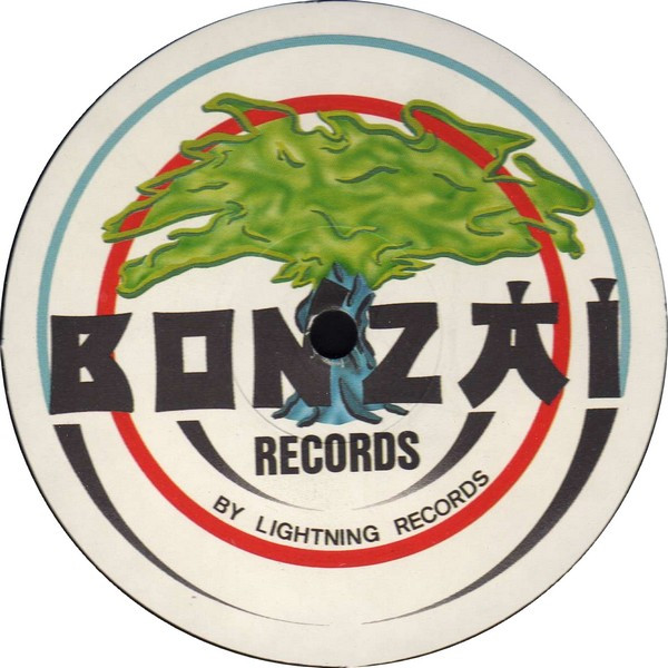 Yves Deruyter - A Story About House, Electronic, Hard Trance, 1997 - Bonzai Records, Belgium, Vinyl 1x 12", 33 ⅓ RPM, 45 RPM 