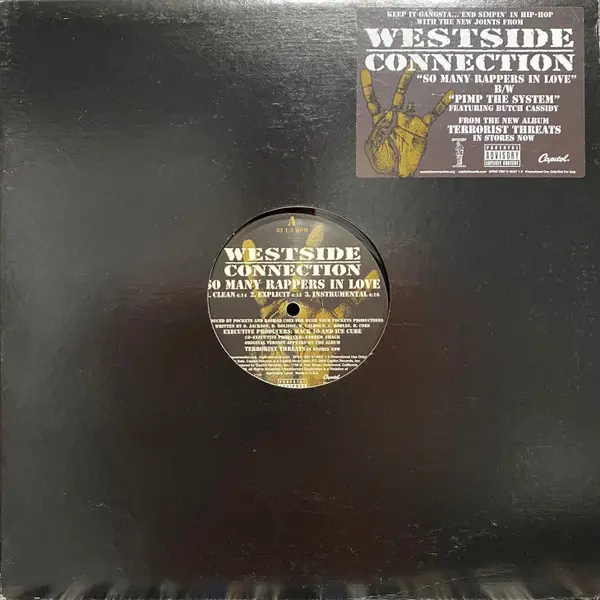 So Many Rappers In Love / Pimp The System