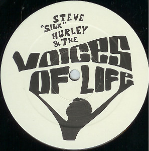 Steve "Silk" Hurley & Voices Of Life, The - The Word Is Love, Electronic, Garage House, 1998 - Tinted Records, Australia, Vin