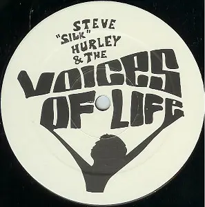Steve "Silk" Hurley & Voices Of Life, The - The Word Is Love, Electronic, Garage House, 1998 - Tinted Records, Australia, Vin