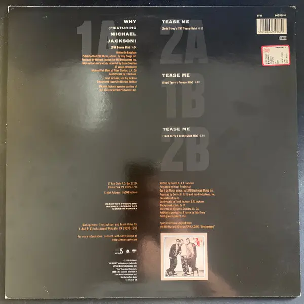 3T Featuring Michael Jackson - Why, Electronic, Hip Hop, House, RnB/Swing, 1996 - MJJ Music, Europe, Vinyl 1x 12", 33 ⅓ RPM