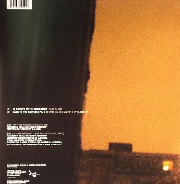 Album cover for Back To The Universe Pt. 1 (Remixed By The Slapped Eyeballers) / In Groups To The Hydrandd by Dimlite