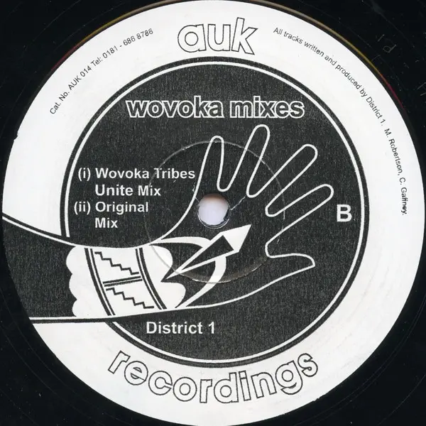 Album cover for Wovoka Mixes by District 1