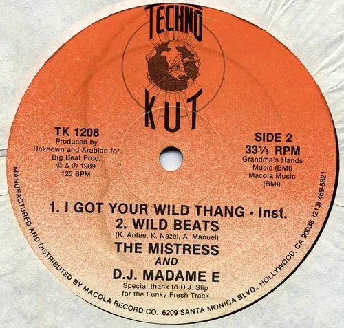 Album cover for I Got Your Wild Thang by Mistress, The & D.J. Madame E