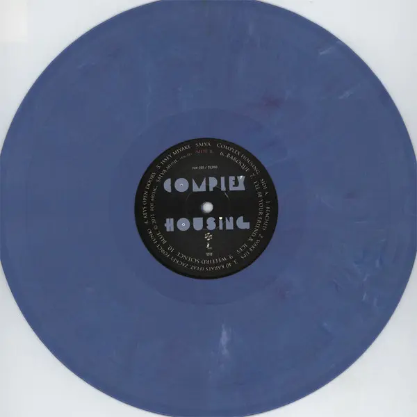 Paul Salva - Complex Housing, Electronic, Dubstep, Ghetto, House, 2011 - Friends Of Friends, Tall Corn Music, US, Vinyl 1x LP