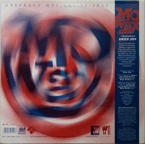 Album cover for Make Some Sense Of This by Deep Joy