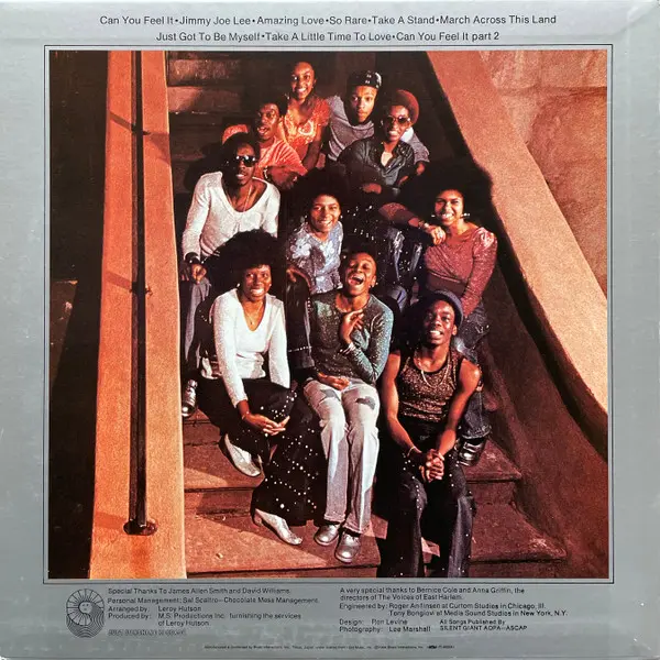 Voices Of East Harlem, The - Can You Feel It, Funk / Soul, Funk, Soul, 1994 - Just Sunshine Records, Japan, Vinyl 1x LP, Albu