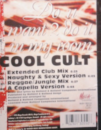 Album cover for Do U Want 2 Do It In My Room by Cool Cult