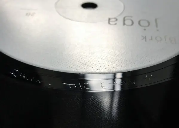 Björk - Jóga, Electronic, Ambient, Breakcore, Hardcore, 1997 - One Little Indian, UK, Vinyl 1x 12", 45 RPM, Single
