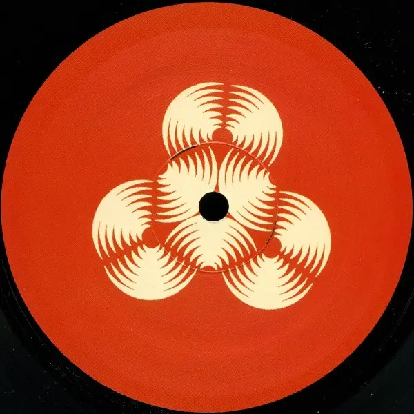 Arvid Niklasson Featuring Ernesto - Try, Electronic, Deep House, Electro, Future Jazz, 2004 - Naked Music Recordings, US, Vin