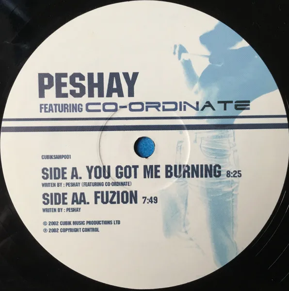 Album cover for You Got Me Burning / Fuzion by Peshay Featuring Co-Ordinate
