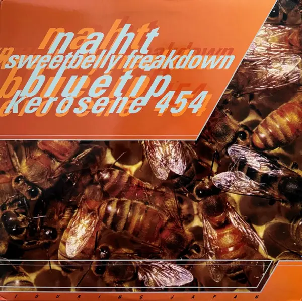 Touring Japan / 日本 旅行