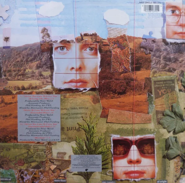 Album cover for Never Too Late To Love You by Kissing The Pink