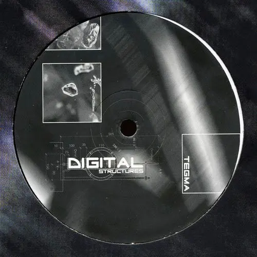 Tegma - Werewolf / What's Akabar, Electronic, Progressive Trance, Psy-Trance, 2001 - Digital Structures, Sweden, Vinyl 1x 12"