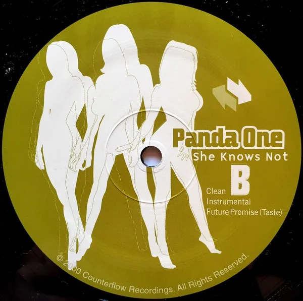 Album cover for A's To Q's by Panda One