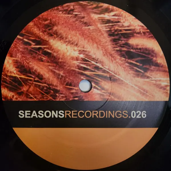 Brett Johnson - And Now The Left, Electronic, House, 2000 - Seasons Recordings, US, Vinyl 1x 12"