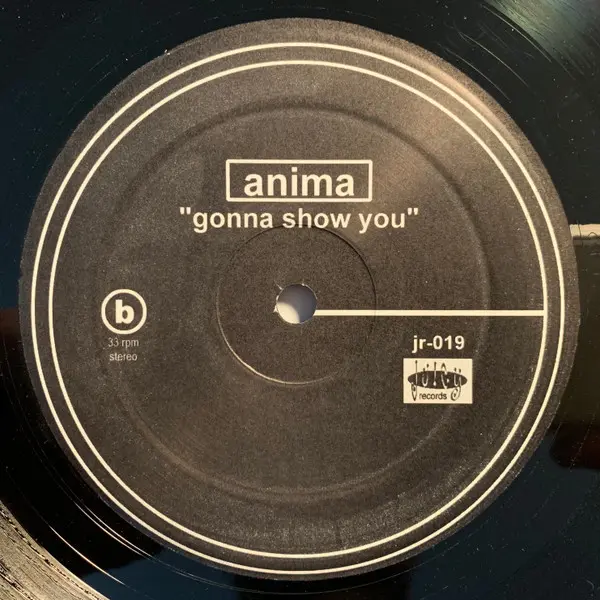 Anima (2) - Gonna Show You, Electronic, House, Speed Garage, 1998 - Juicy Records, US, Vinyl 1x 12"
