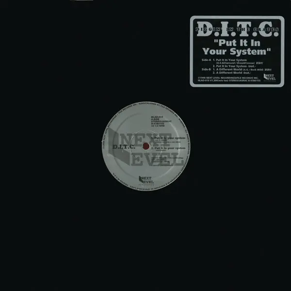 Put It In Your System