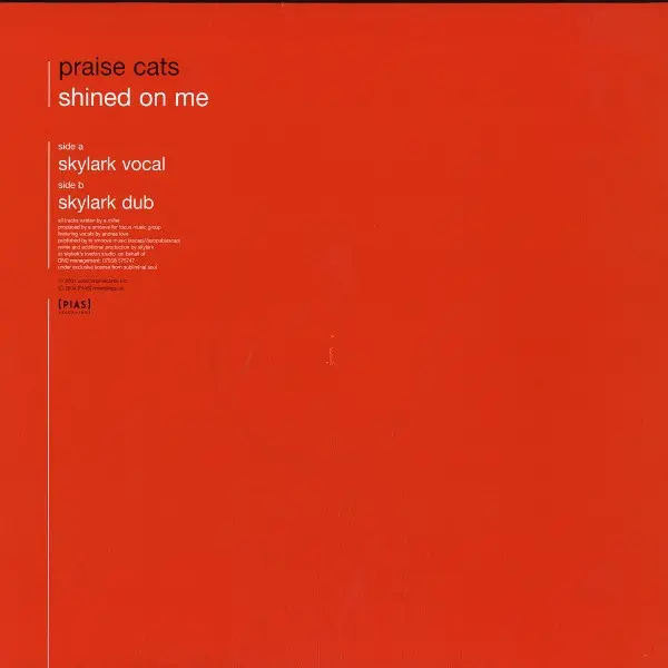 Shined On Me (Skylark Remixes)