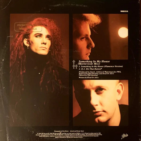 Album cover for Something In My House (Mortevicar Mix) by Dead Or Alive