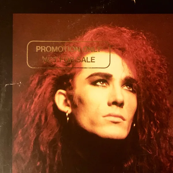 Album cover for Something In My House (Mortevicar Mix) by Dead Or Alive