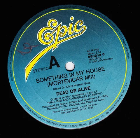 Album cover for Something In My House (Mortevicar Mix) by Dead Or Alive