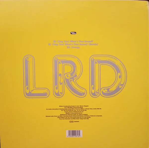 Album cover for (Hey You) What's That Sound? by Les Rythmes Digitales