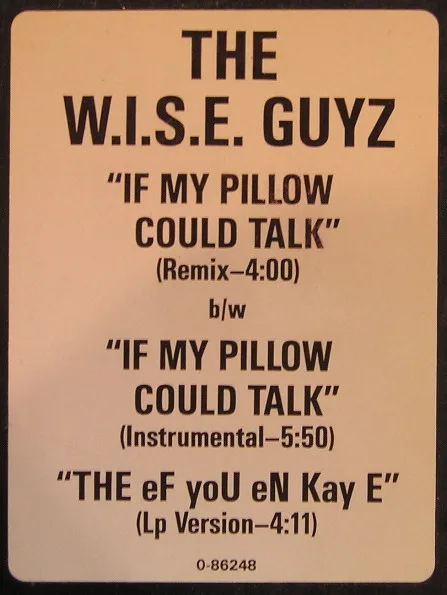 If My Pillow Could Talk