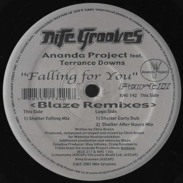 Album cover for Falling For You (Part II) by Ananda Project, The Featuring Terrance Downs