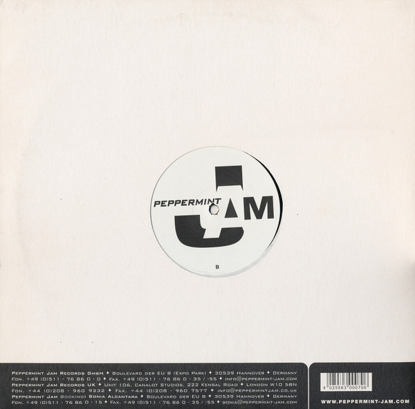 Paul Johnson - Follow The Beat, Electronic, House, 2003 - Peppermint Jam, Germany, Vinyl 1x 12"