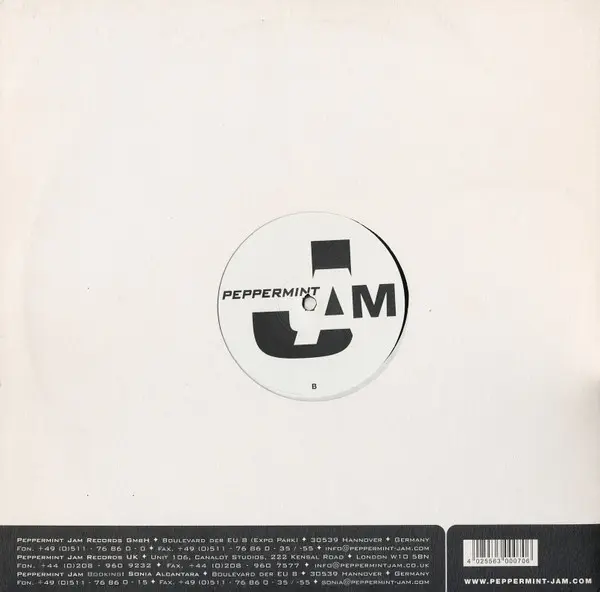Paul Johnson - Follow The Beat, Electronic, House, 2003 - Peppermint Jam, Germany, Vinyl 1x 12"