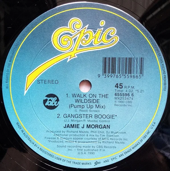 Album cover for Walk On The Wild Side by Jamie J. Morgan