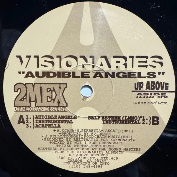 Album cover for Audible Angels by Visionaries