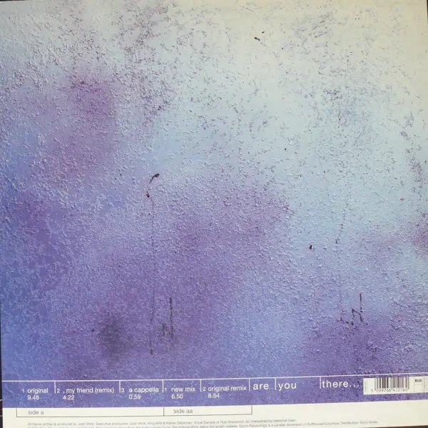 Josh Wink - Are You There..., Electronic, Acid, Breaks, Techno, 1996 - Ovum Recordings, UK, Vinyl 1x 12", 33 ⅓ RPM