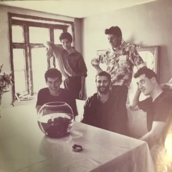 Lloyd Cole & The Commotions - Rattlesnakes, Pop, Rock, Indie Rock, Soft Rock, 1984 - Polydor, Australasia, Vinyl 1x LP, Album