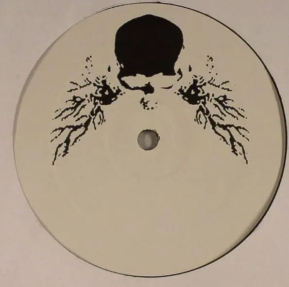 Photonz - Trembler, Electronic, Abstract, Tech House, 2008 - Dark & Lovely, France, Vinyl 1x 12", Limited Edition
