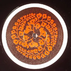 Various - Dois Album Sampler, Electronic, Future Jazz, 2003 - Disorient, UK, Vinyl 1x 12"